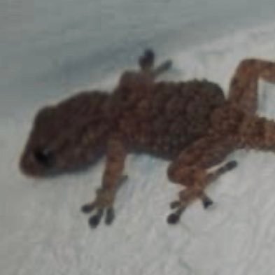 Mabouya97232's profile picture. Martiniquais, amoureux des Antilles et de ses habitants. « Sé an lanmen ka lavé lot »