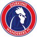 Dorking Wanderers Women (@DWFCWomen) Twitter profile photo