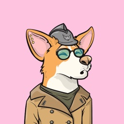 chaichrisha's profile picture. Shogun ✨ 🐶