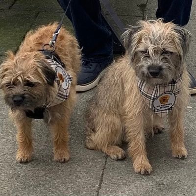 We are George & Janice. Norty little BT terrierists. We are bruv & sis. We play,we chase,we destroy, we conquer! 🎂 10.04.22 🐾 🐶 🐾 🐶 Proud #BTPosse members.