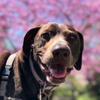 Kyle Weidleman (@kweidleman) 's Twitter Profile
