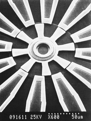 datahustler's profile picture. Dataviz & technology journalist, Nathan Griffiths.