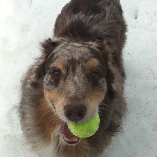 geiger_mark's profile picture. 