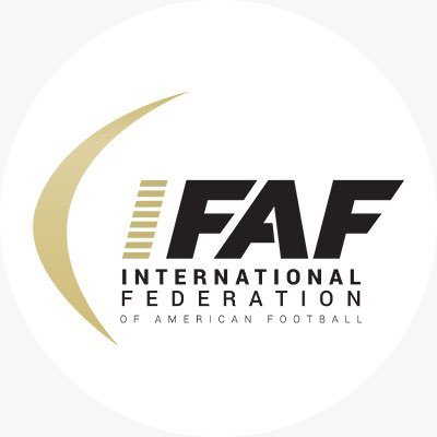 Placa Quadro Estilo Flag's Futebol Americano Times Da Nfl