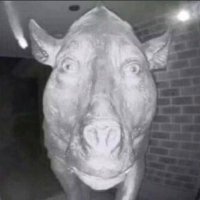 Steve Morley (@stevemo93718565) 's Twitter Profile Photo Steve Morley (@stevemo93718565) 's Twitter Profile Photo