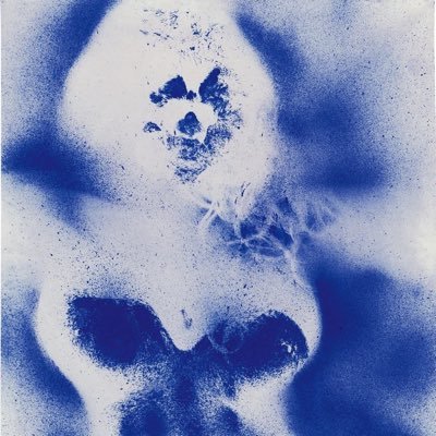 xevysq's profile picture. 