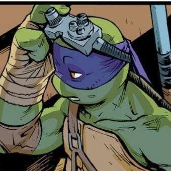 Donatello TMNT real life