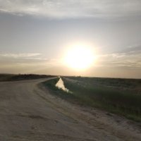 kaseer (@hhyom) 's Twitter Profile