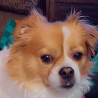 🇺🇸🇺🇸🇺🇸Bagel Colorado❤️🤍💙 (@bagel69er) 's Twitter Profile Photo 🇺🇸🇺🇸🇺🇸Bagel Colorado❤️🤍💙 (@bagel69er) 's Twitter Profile Photo