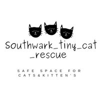 Safe place for Cats(@tinycatrescue) 's Twitter Profile Photo