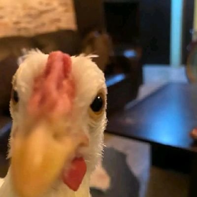 madeli94092738's profile picture. 