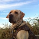 Jay Clemons - @napa63 - Twitter