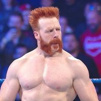 Brogue Kick (Not Sheamus) (@broguekick2300) 's Twitter Profile