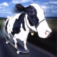 Humber (@qc_humber) 's Twitter Profile