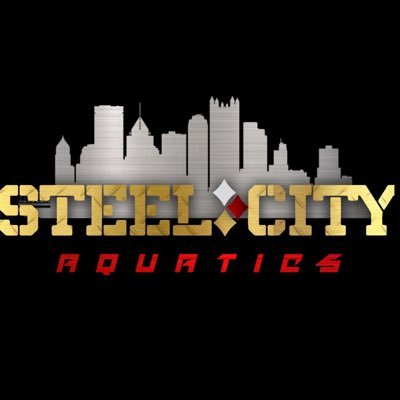 Official page of Steel City Aquatics  ♦️Competitive Swimming ♦️Diving♦️Masters♦️Learn-2-Swim #GOSTEEL #teamtyr