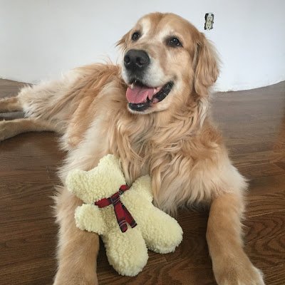 EricaMccon3039's profile picture. 