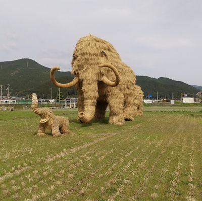 日常の中にある喜び幸せを探しています。