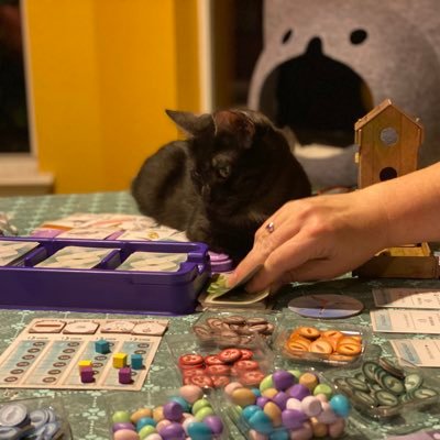 Board Games and Pets