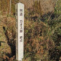 上遠野 (@bunkagakusei) Twitter profile photo
