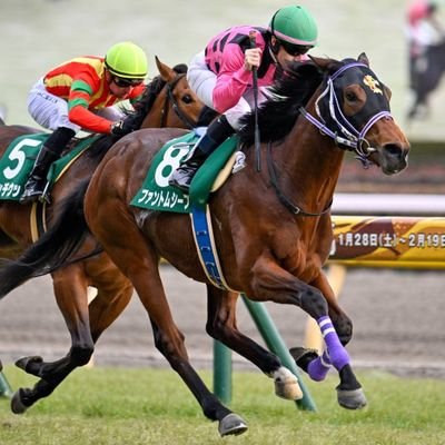 ターファイトクラブに馬を提供してる谷川牧場です質問があれば出来る限り答えていきたいと思います。ターファイトの会員さん、会員さんでない方でも遠慮なく質問して下さい😊谷川牧場ホームページhttps://t.co/s56KZE2dXk ターファイトクラブホームページhttps://t.co/usvjvibJWT