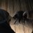 mbldn98's profile image