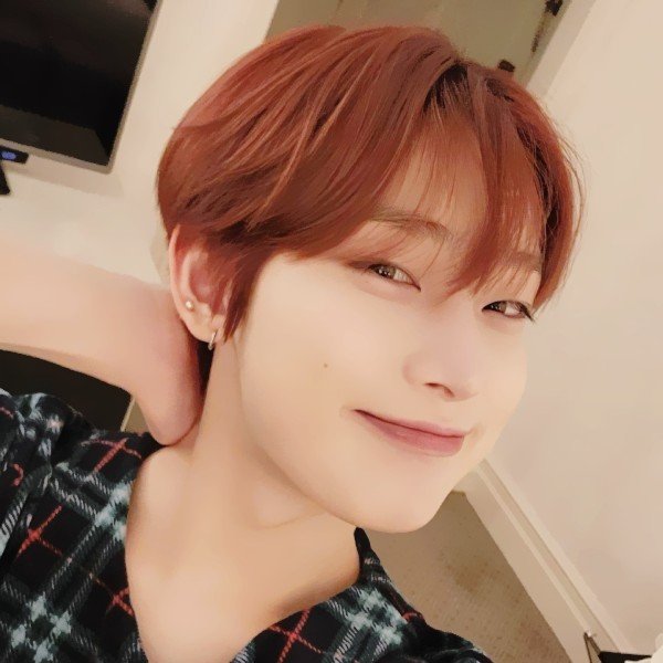 ⠀⠀⠀︎︎♡!! want a cat? that's here, yang jungwon ZzZ 🛒 ͏ ͏ ͏ ͏ ͏ ͏ ͏ ͏ ͏ ͏ ͏ ͏ ͏ ͏ ͏ ͏ ͏͏ ͏ ͏ ͏ ͏