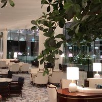 H (@hxwu113) Twitter profile photo