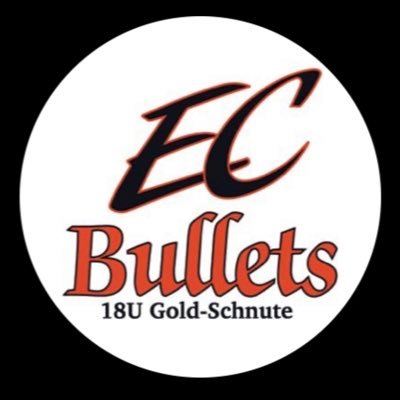 EC Bullets 18 Gold - National Travel Fastpitch Coach @eastcobbbullets