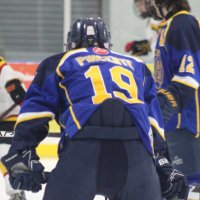 leafsforever (@alexpincente) 's Twitter Profile