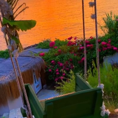 Elif678421's profile picture. 