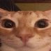 Jamal🎲🔱👁️🗨️🗿 (@n0itag) Twitter profile photo Jamal🎲🔱👁️🗨️🗿 (@n0itag) Twitter profile photo
