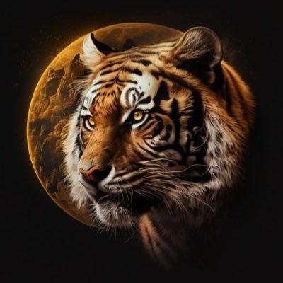 TigerMoon is a new NFT and P2Earn project that allows users to own and trade unique digital assets while earning passive income through staking and farming.