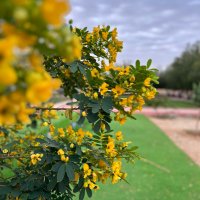 AHMED (@a_b_a_f_1) 's Twitter Profile Photo