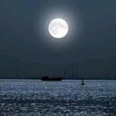 mengtanr's profile picture. 