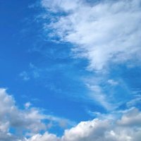 流山市民 (@nagarecitizen) 's Twitter Profile Photo