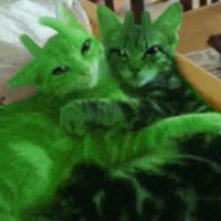 retard (@manulization) 's Twitter Profile