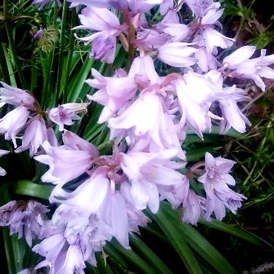 Tee803481625724's profile picture. 