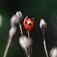 Oha! Knautschi! (@ohaknautschi) Twitter profile photo