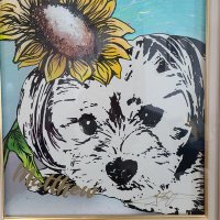 マシュ🌻 (@matthewmaro3) 's Twitter Profile