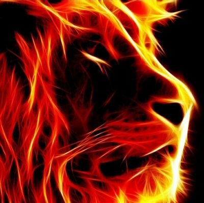 johnGalay31's profile picture. 