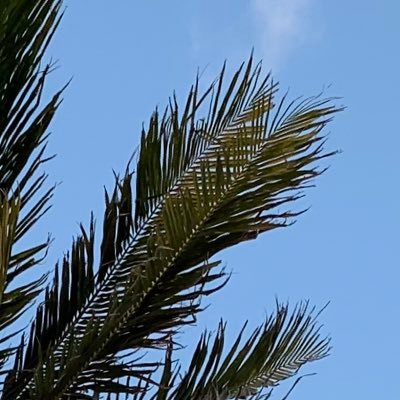 butimnottonight's profile picture. 