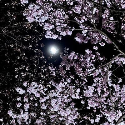 たそさんのプロフィール画像