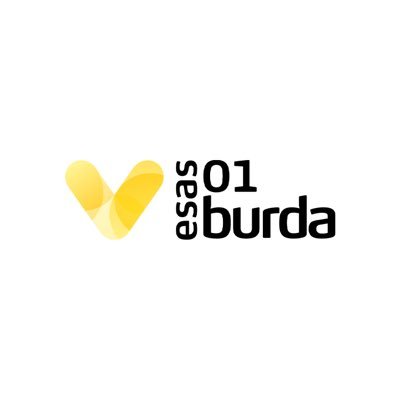 01BurdaAVM