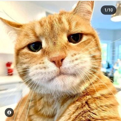 gunsniper061292's profile picture. Henlo