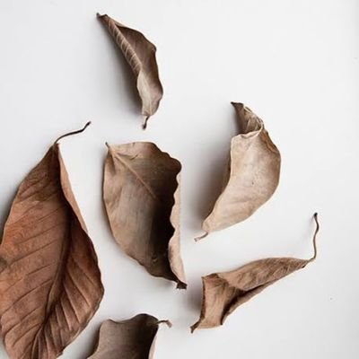 yves27mai's profile picture. amoureux de la culture.