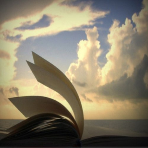 jojo_josefina's profile picture. 