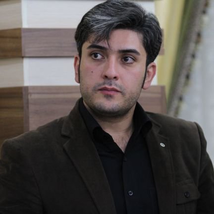 کمی نویسندگی،
کمی تحلیل،
گوینده ، مجری و گزارشگر تلویزیون،
مستندساز