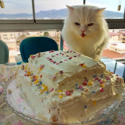 Cakilinannesii's profile picture. 