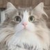 セミリタイアそういち (@2cd6vbuv6zze1on) Twitter profile photo セミリタイアそういち (@2cd6vbuv6zze1on) Twitter profile photo
