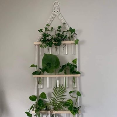 OsmanHaroon1's profile picture. 